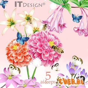 IT Design Flowers & Insects