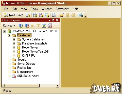 Microsoft SQL Server 2008