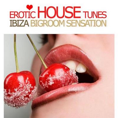 Erotic House Tunes Vol 1. Ibiza Bigroom Sensation
