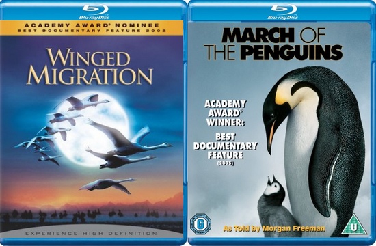 Птицы. Дилогия. HDRip