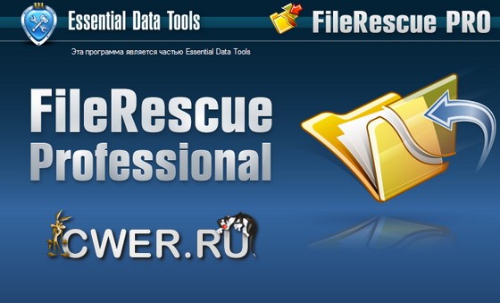 FileRescue Pro