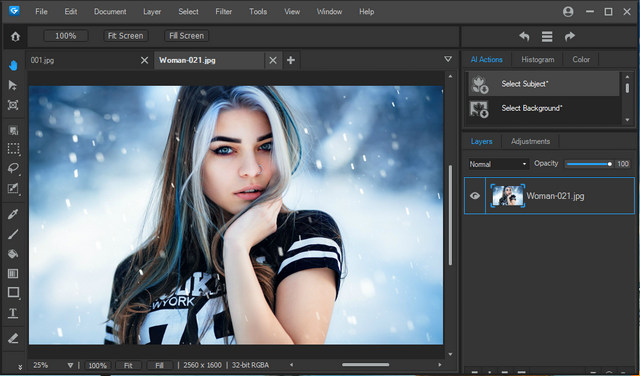 ACDSee Gemstone Photo Editor