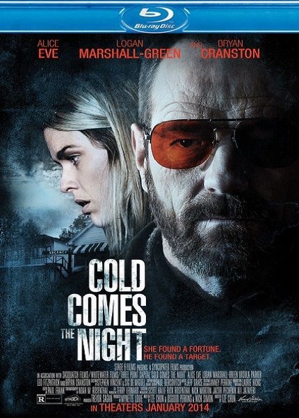 Взгляд зимы / Cold Comes the Night (2013/HDRip