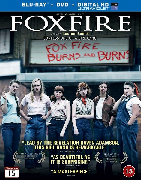 Foxfire, confessions d'un gang de filles / Foxfire