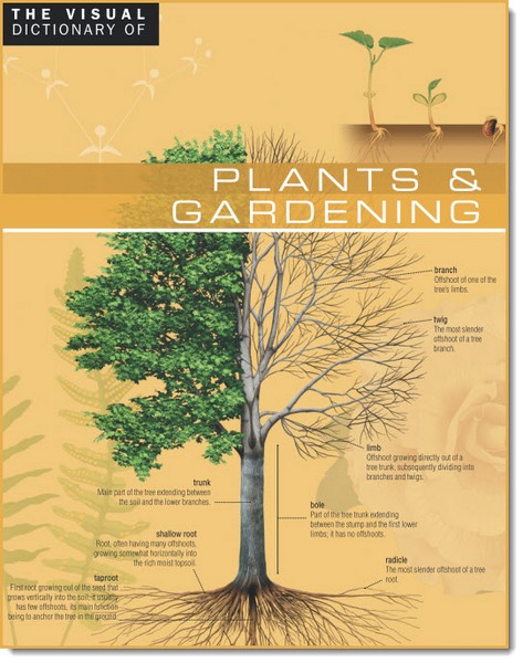 TheVisualDictionary_of_Plants&Gardening