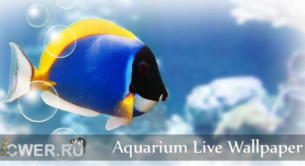 Aquarium Live Wallpaper