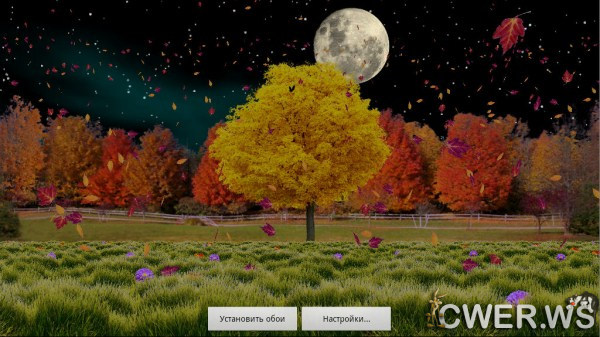 Autumn Trees Live Wallpaper