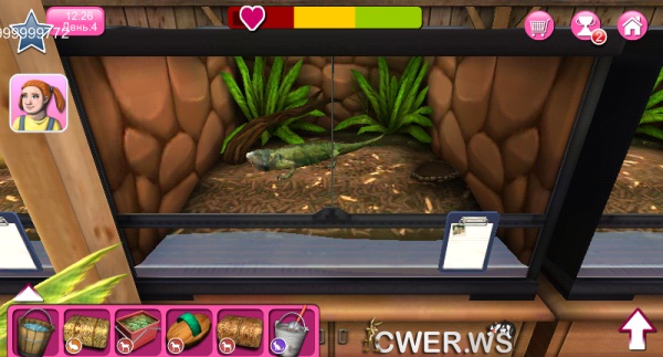 PetWorld 3D: приют для зверей