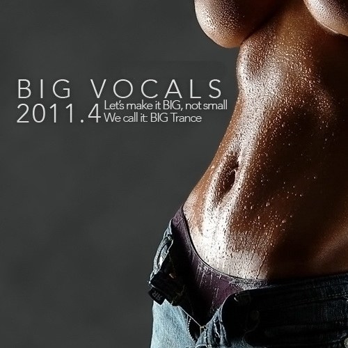 скачать BIG Vocals 4 (2011)