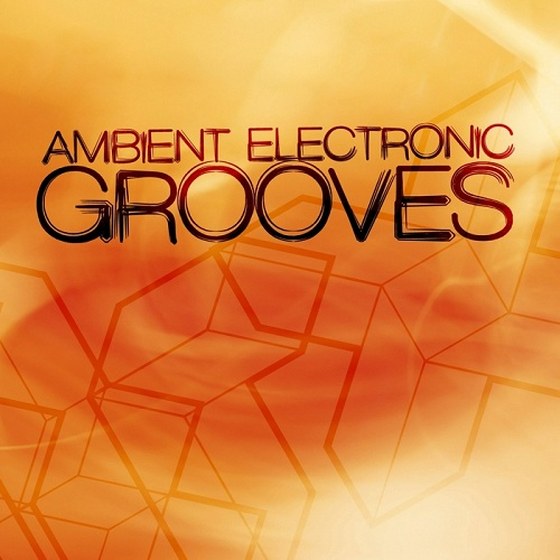 скачать Ambient Electronic Grooves (2011)