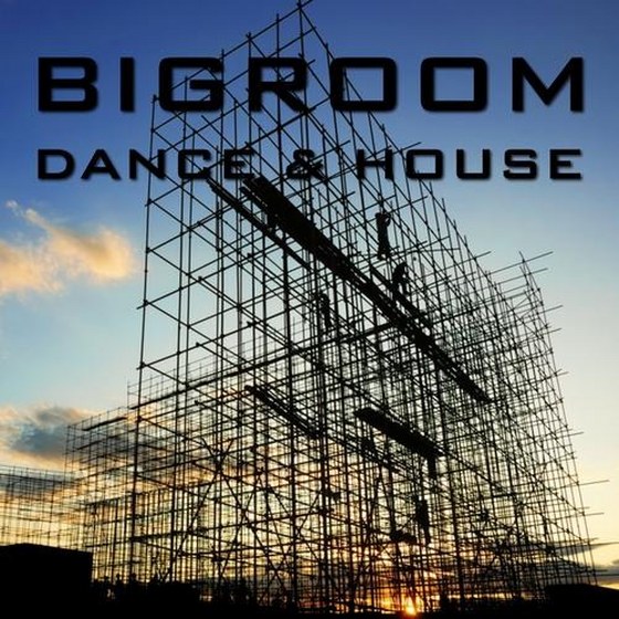 скачать Bigroom Dance and House (2012)