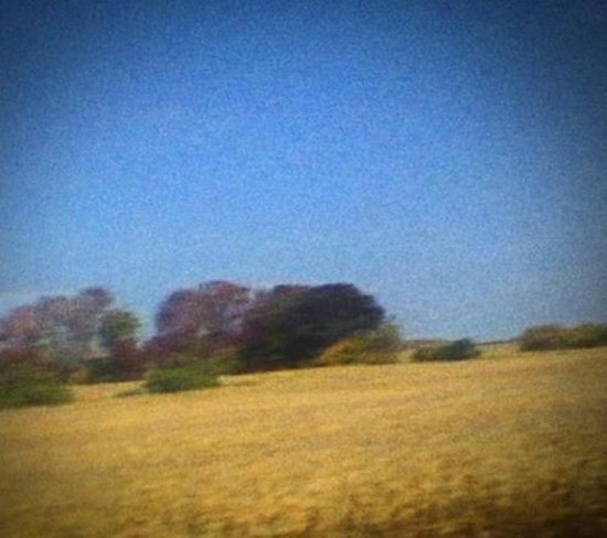 Sun Kil Moon. Benji: Limited Edition (2014)