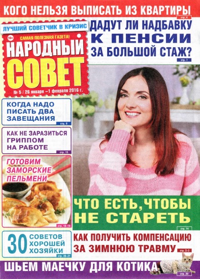 Народный совет 5 2016