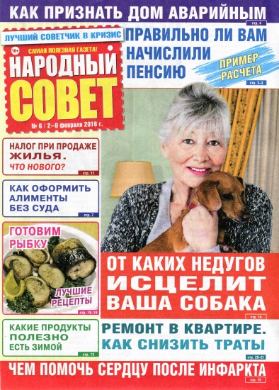 Народный совет 6 2016