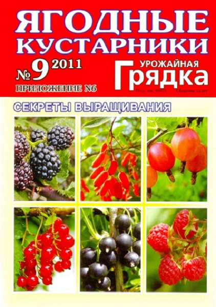 картинка к журналу Ягодные кустарники 9 2011