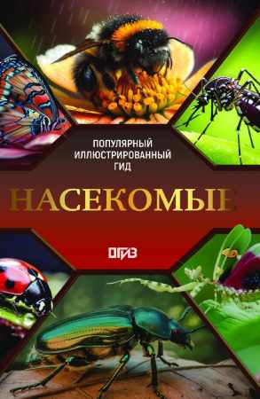 Насекомые