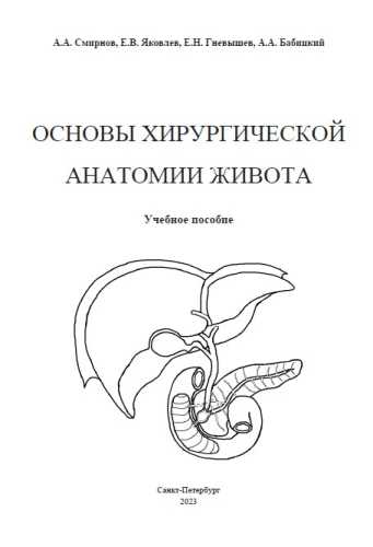 Основы хирургической анатомии живота