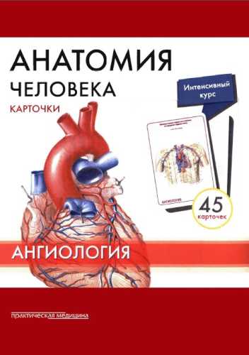 М.Р. Сапин. Анатомия человека. Ангиология. Карточки