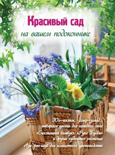 Красивый сад на вашем подоконнике