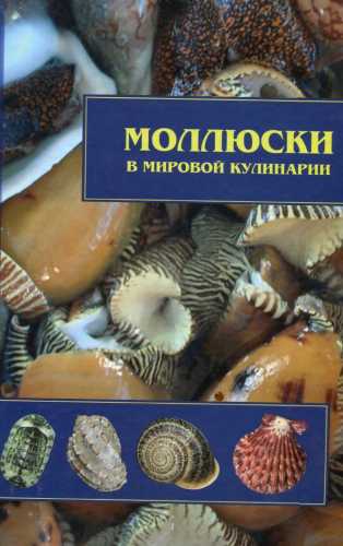 Моллюски в мировой кулинарии