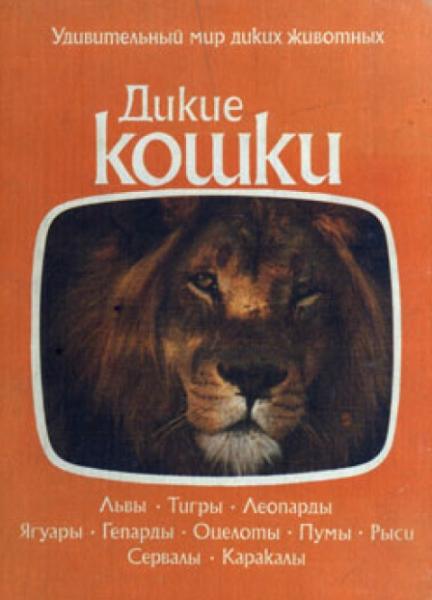 Дикие кошки