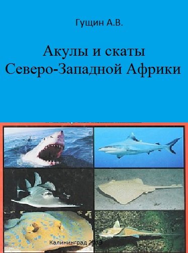 А.В. Гущин. Акулы и скаты Северо-Западной Африки