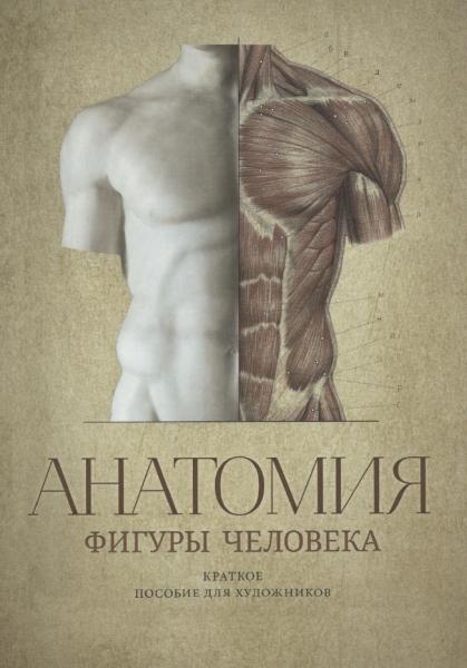 Владимир Могилевцев. Анатомия фигуры человека. Краткое пособие для художников