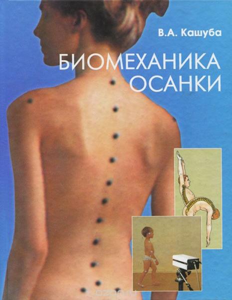 В.А. Кашуба. Биомеханика осанки