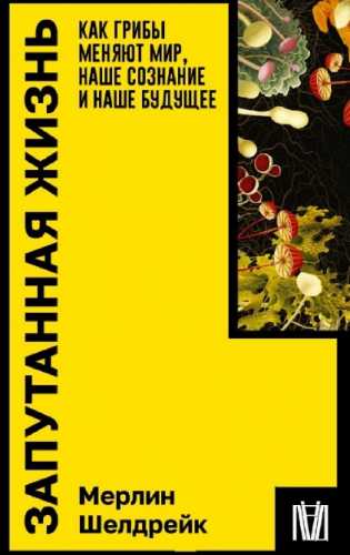 Мерлин Шелдрейк. Запутанная жизнь. Как грибы меняют мир, наше сознание и наше будущее