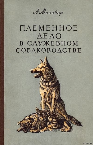 А. Мазовер. Племенное дело в служебном сабаководстве