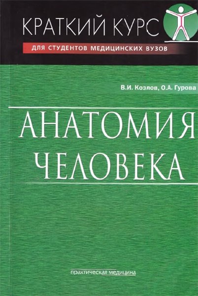 В.И. Козлов. Анатомия человека. Краткий курс