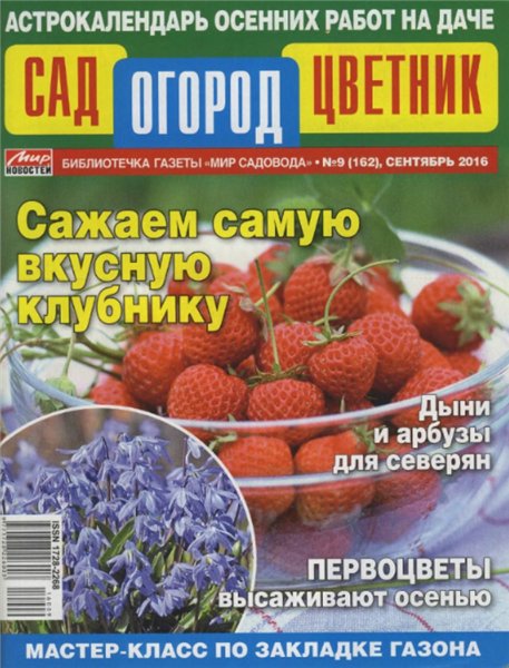 Сад, огород, цветник №9 (сентябрь 2016)