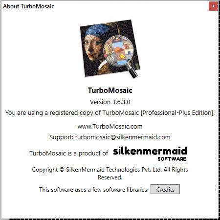 TurboMosaic 3.6.3.0 Professional-Plus Edition