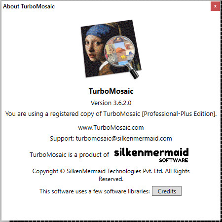 TurboMosaic 3.6.2.0 Professional-Plus Edition