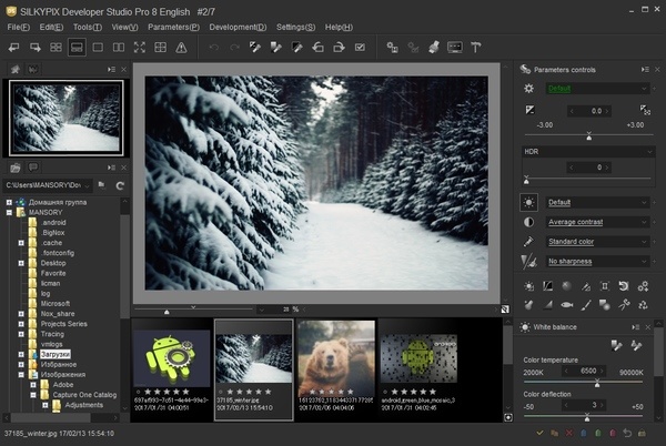 SILKYPIX Developer Studio Pro 8