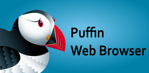 Puffin