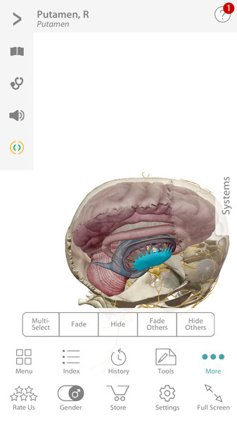 Human Anatomy Atlas4