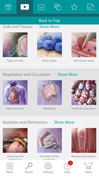 Human Anatomy Atlas8