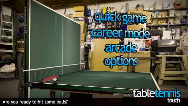 Table Tennis Touch