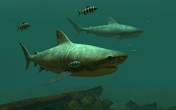 Tiger Sharks 3D Screensaver 1.0 build 2