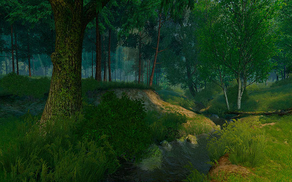 Summer Forest 3D Screensaver