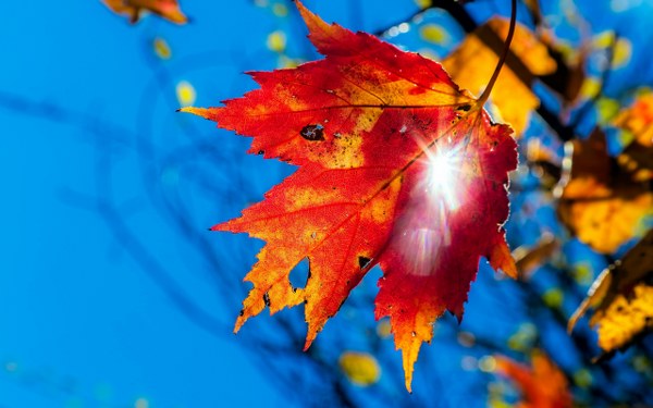 Best Mixed Wallpapers Pack #467-468