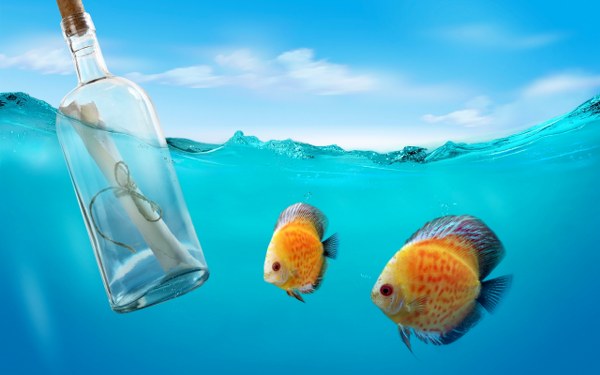 New Mixed HD Wallpapers Pack 309