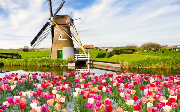 Best Mixed Wallpapers Pack #359-360