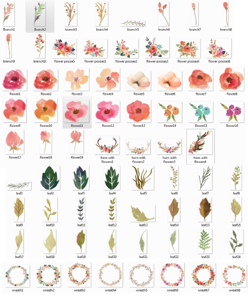 Акварельные цветы2