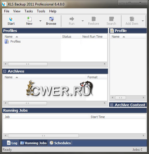 KLS Backup 2011 Professional 6.4.8.0