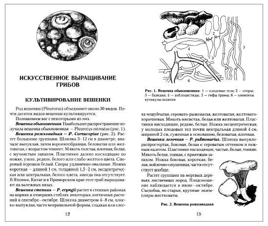 Бизнес