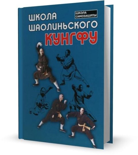 Школа шаолинского кунгфу